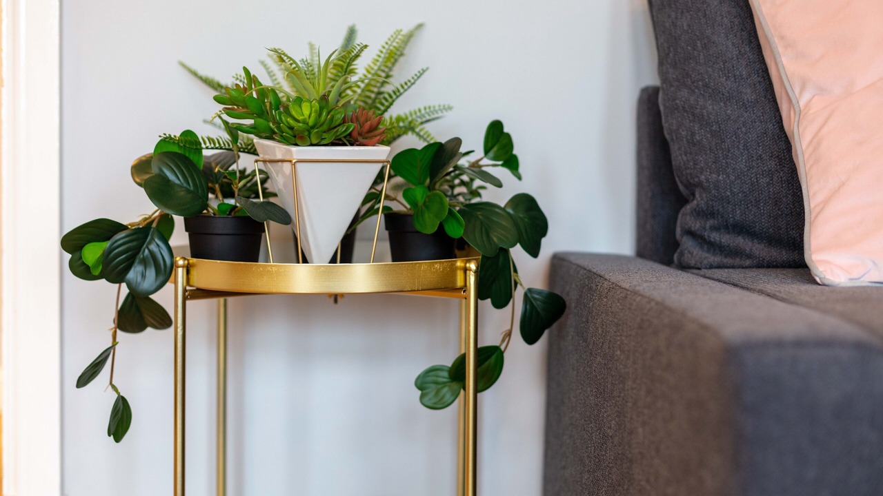 Photo of Bathroom in Ayr