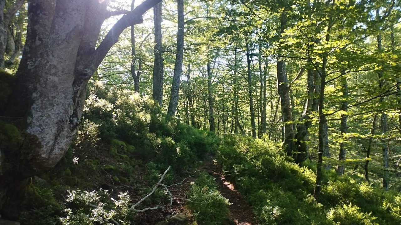 Photo of Outdoor in Onati
