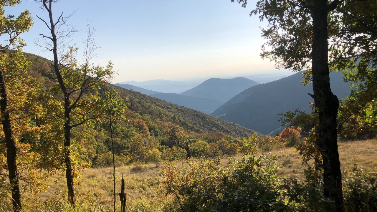 Photo of Outdoor in Venterol