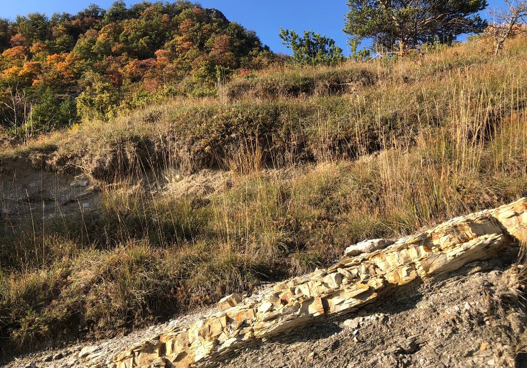 Photo of Outdoor in Venterol