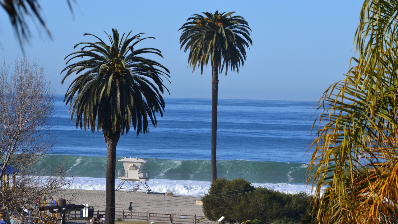 Photo of Others in Encinitas