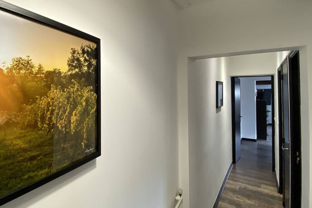 Photo of Others in Saint-Hilaire-Saint-Florent