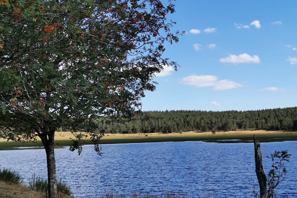 Photo of Outdoor in Quezac