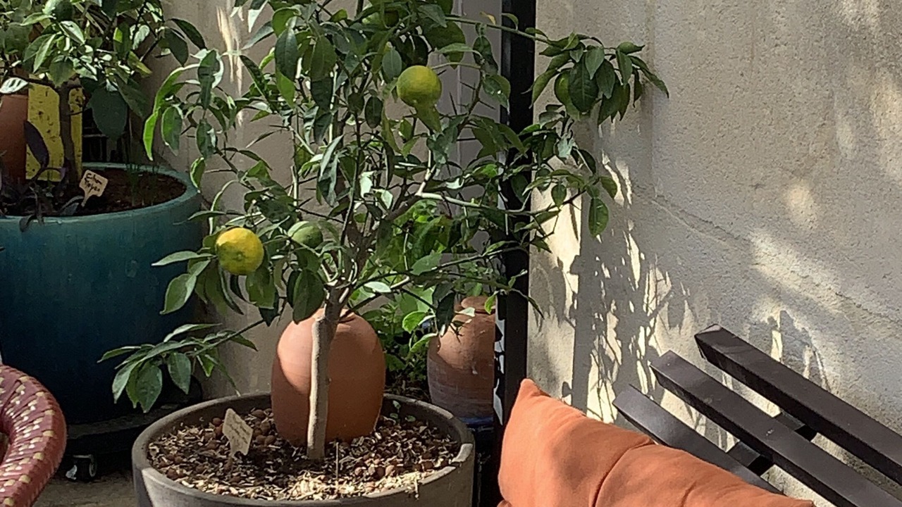 Photo of Outdoor in Pouzols
