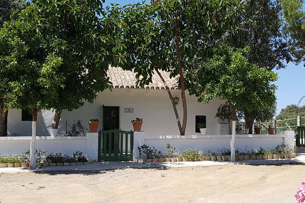 Photo of Outdoor in Puerto Serrano