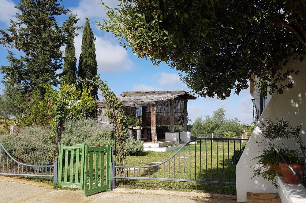 Photo of Outdoor in Puerto Serrano