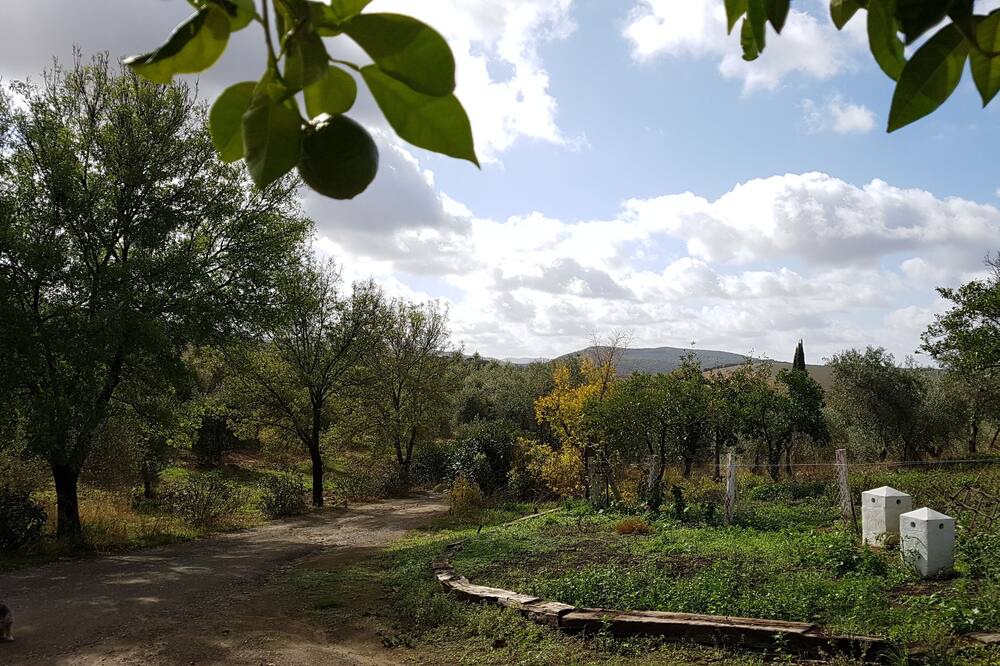 Photo of Outdoor in Puerto Serrano
