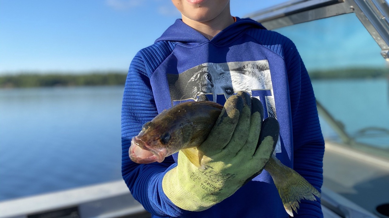 Photo of Others in Sioux Narrows Nestor Falls