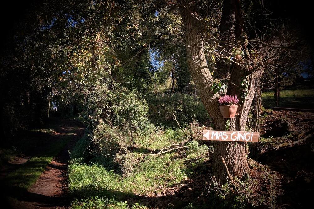 Photo of Outdoor in Sant Joan les Fonts