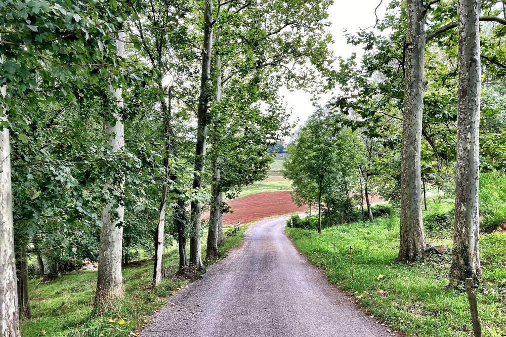Photo of Outdoor in Sant Joan les Fonts