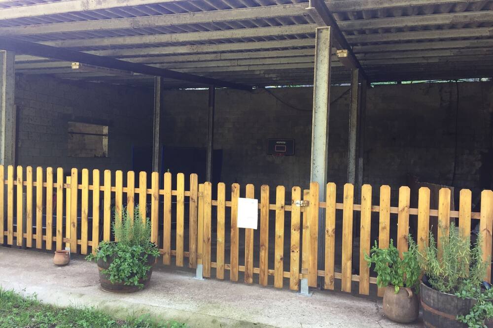 Photo of Outdoor in Sant Joan les Fonts