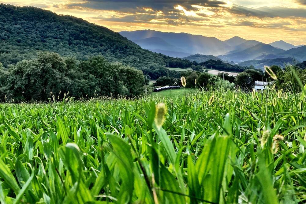 Photo of Outdoor in Sant Joan les Fonts