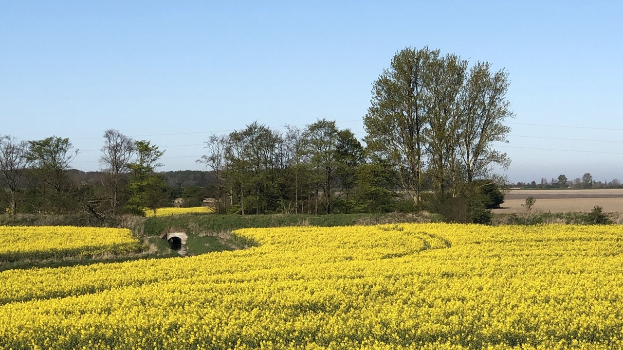Photo of Outdoor in Nakskov