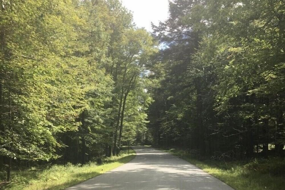 Photo of Others in White Lake