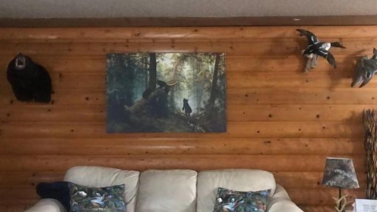 Photo of Livingroom in Cecil