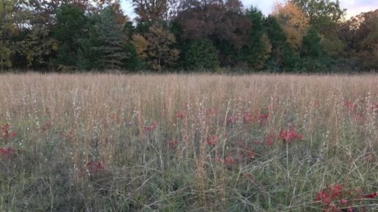 Photo of Outdoor in Cecil