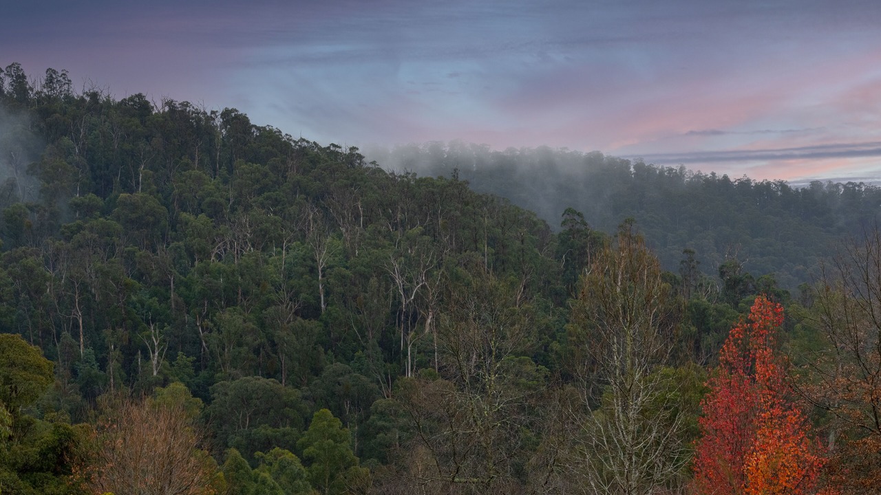Photo of Others in Marysville