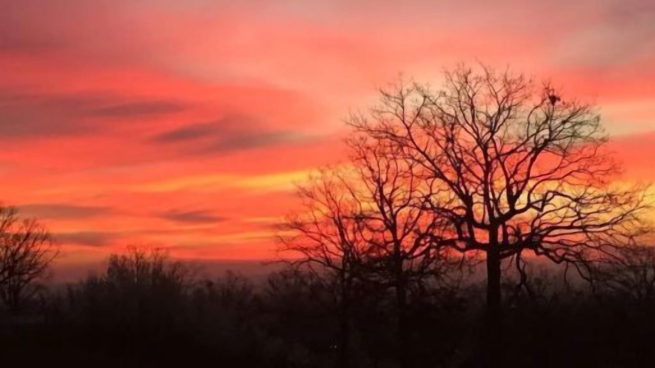 Photo of Outdoor in Cecil