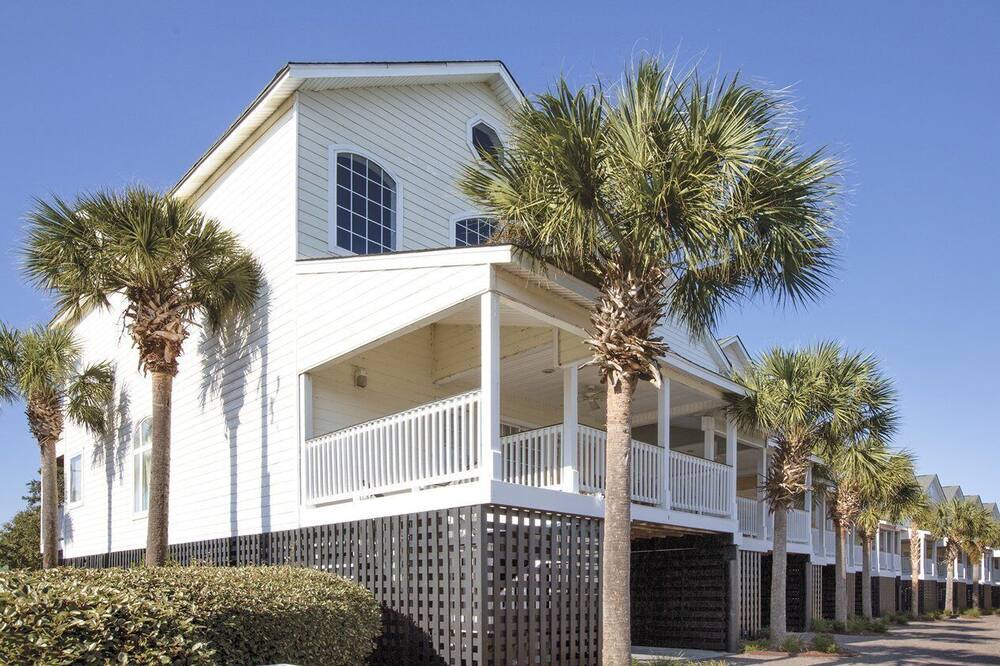 Photo of Outdoor in Edisto Island