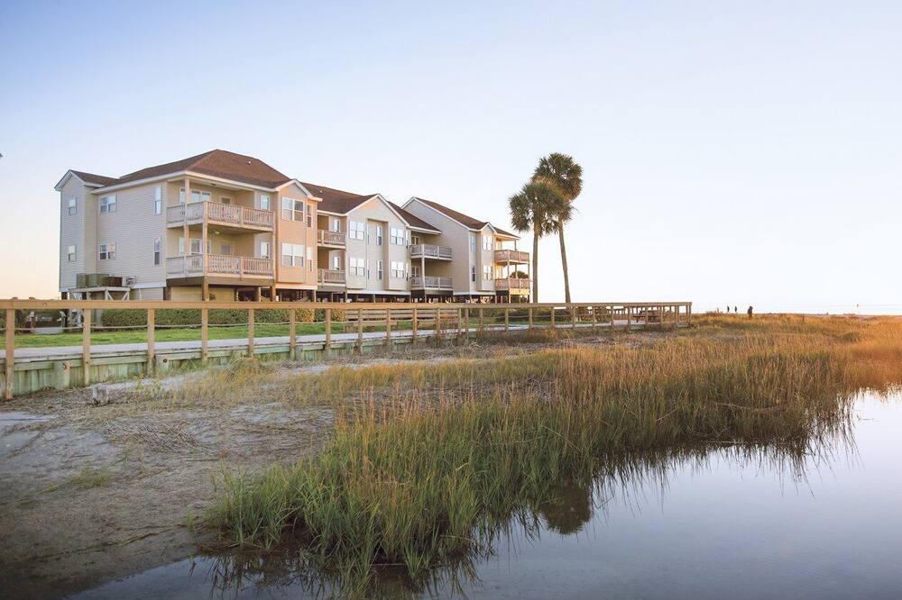 Photo of Outdoor in Edisto Island