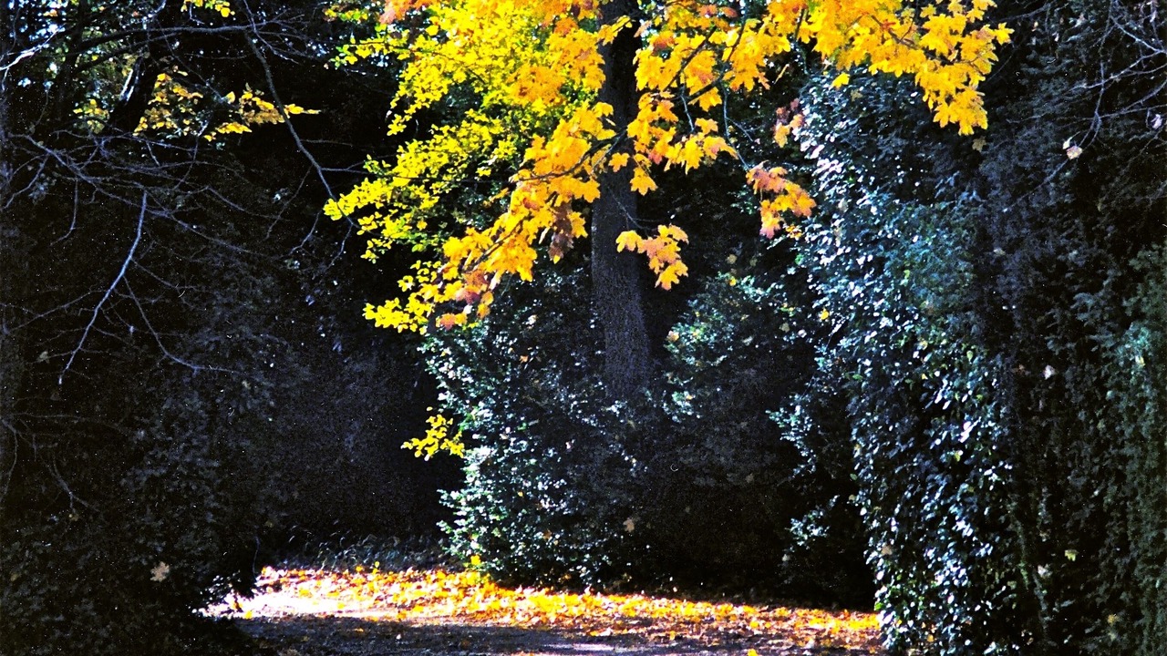 Photo of Outdoor in Tournon-Saint-Pierre