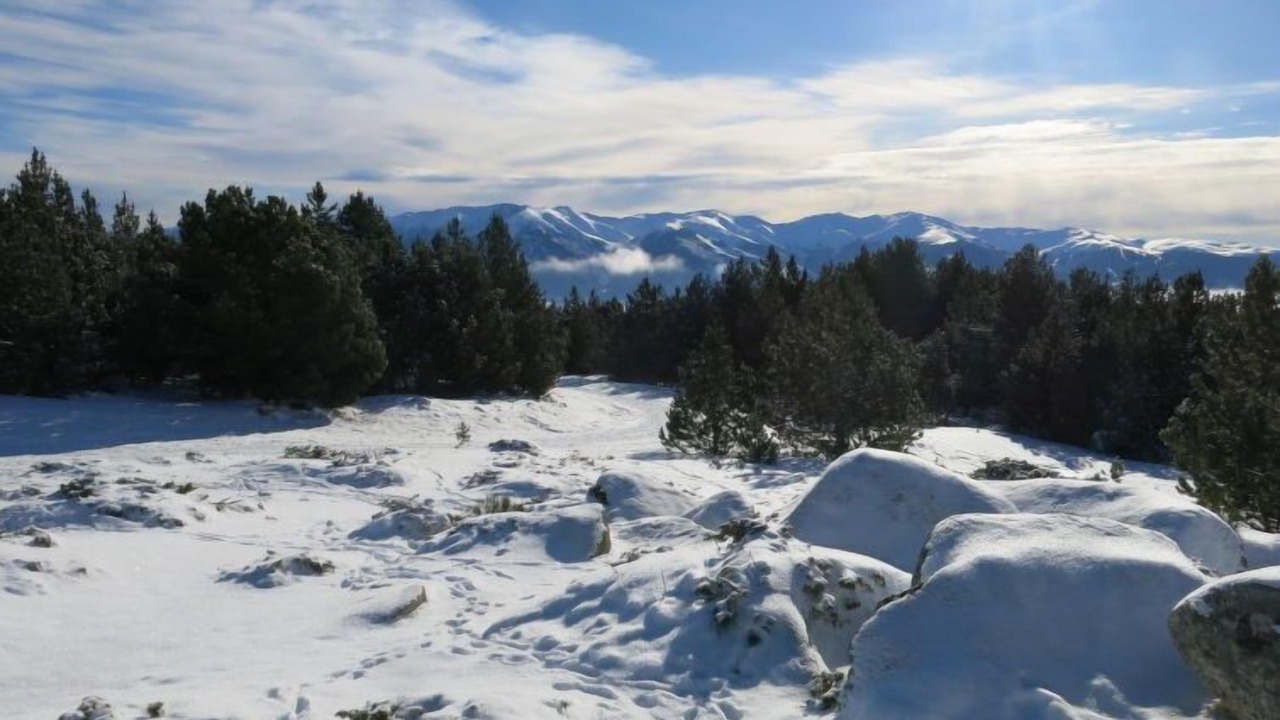 Photo of Others in Pyrenees 2000