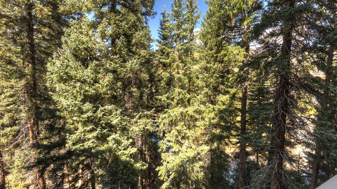 Photo of Others in Keystone