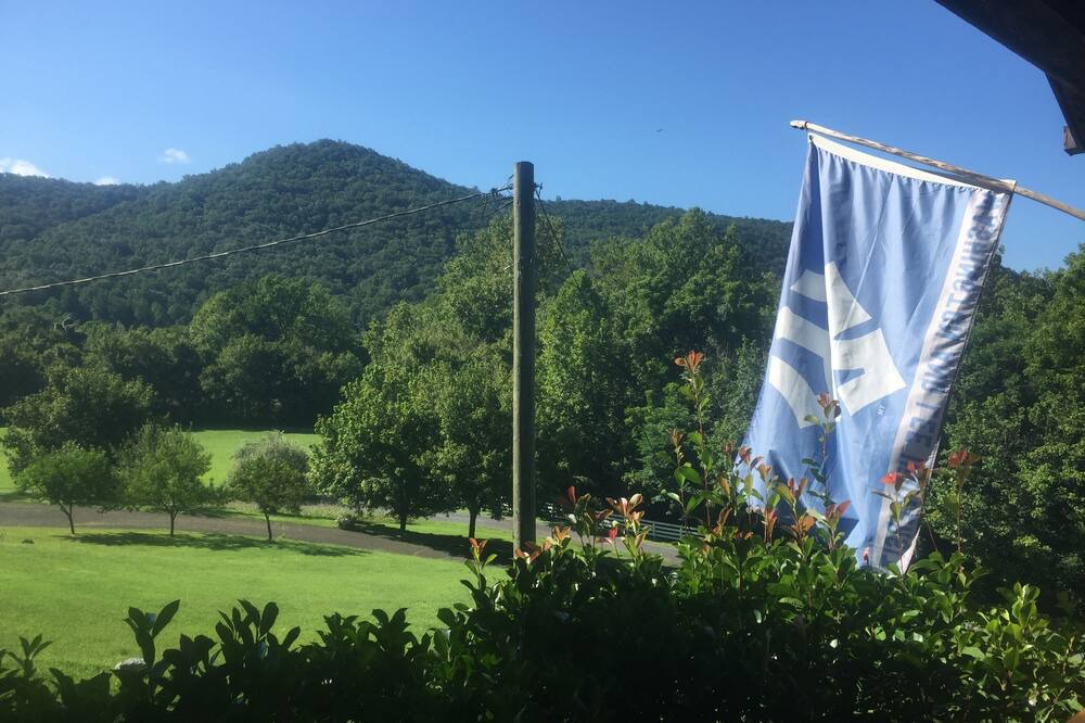 Photo of Outdoor in Lexington