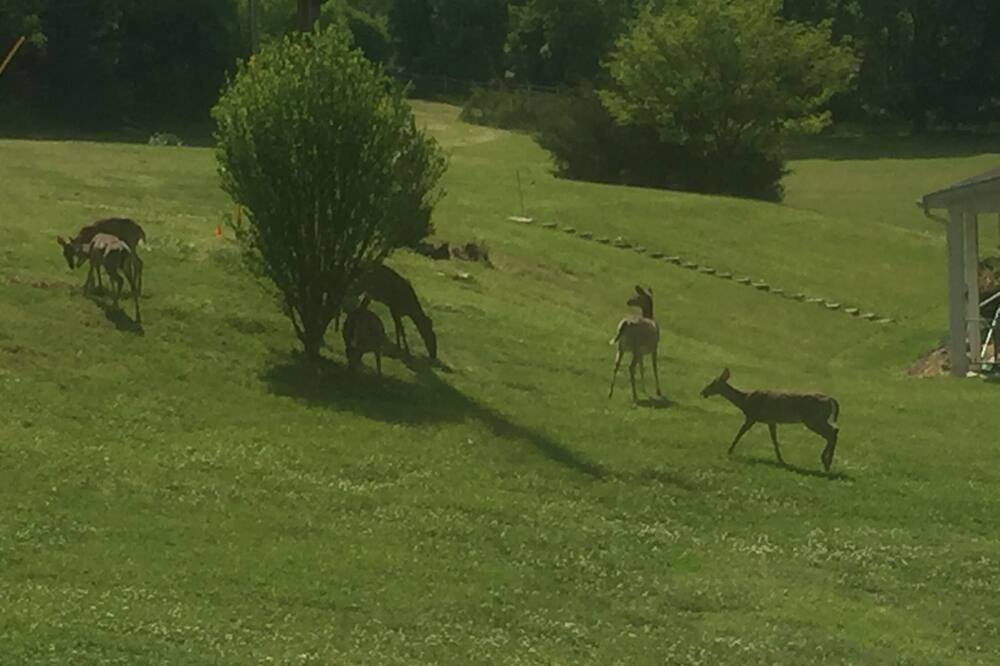 Photo of Others in Lexington