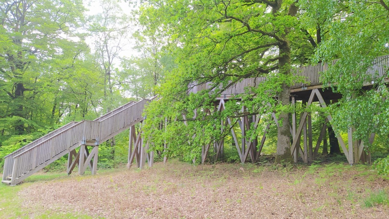 Photo of Others in Noues de Sienne