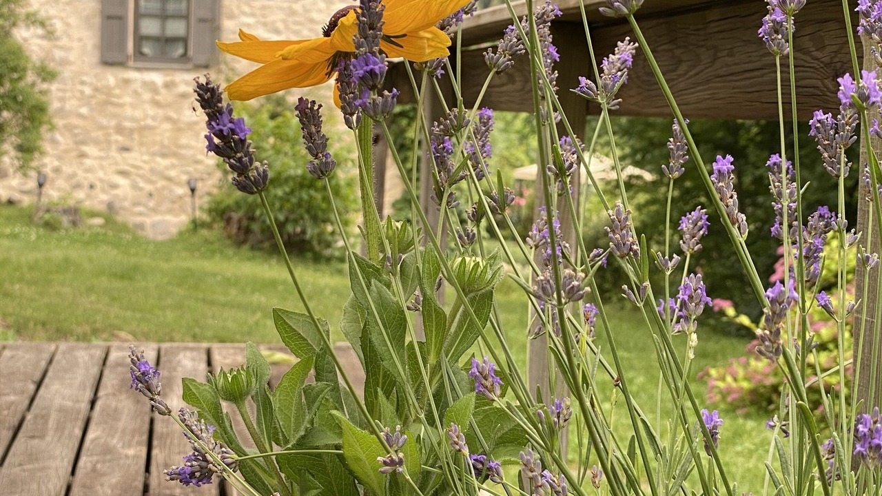 Photo of Outdoor in Meolans-Revel