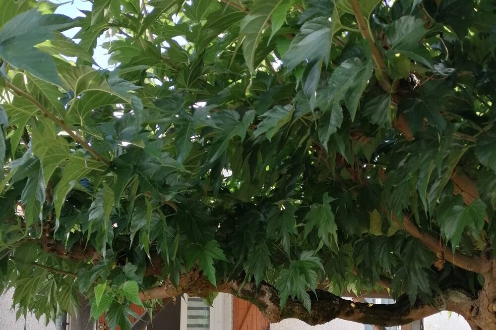 Photo of Outdoor in Le Passage