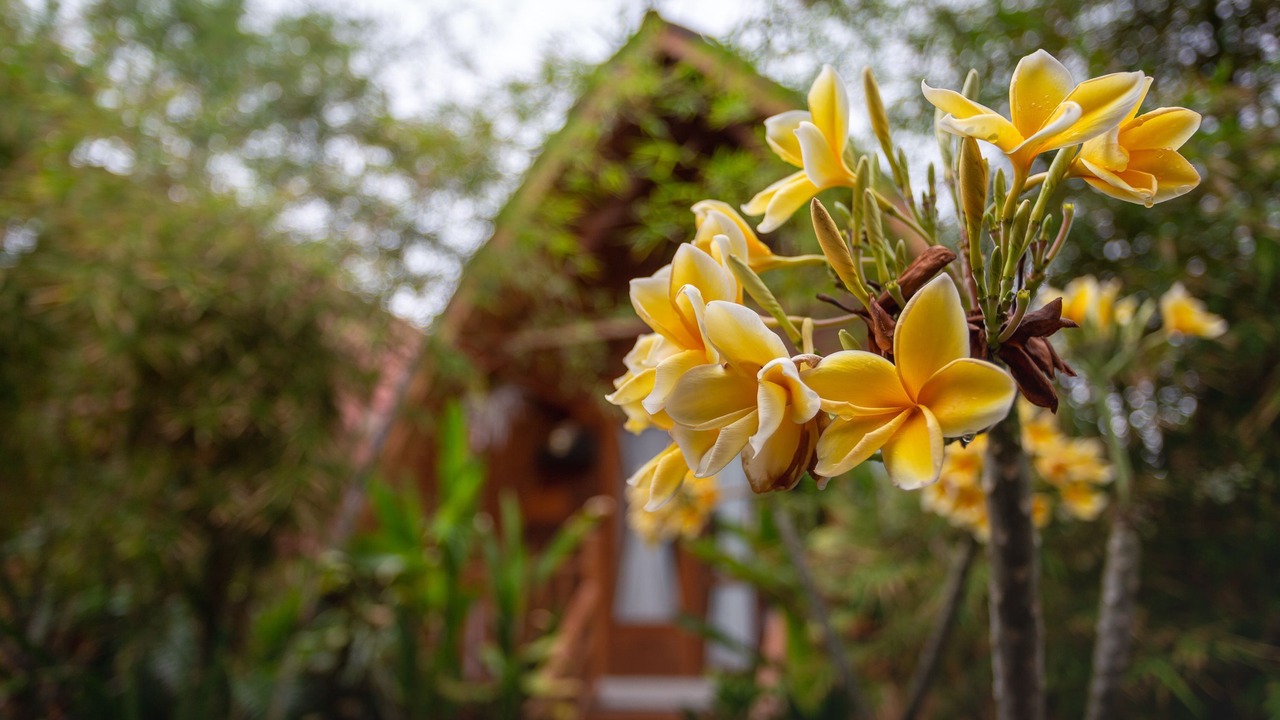 Photo of Outdoor in Penida Island
