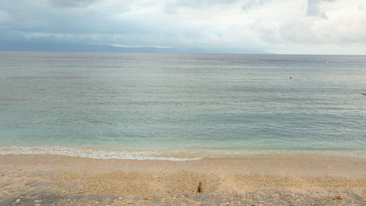 Photo of Others in Penida Island
