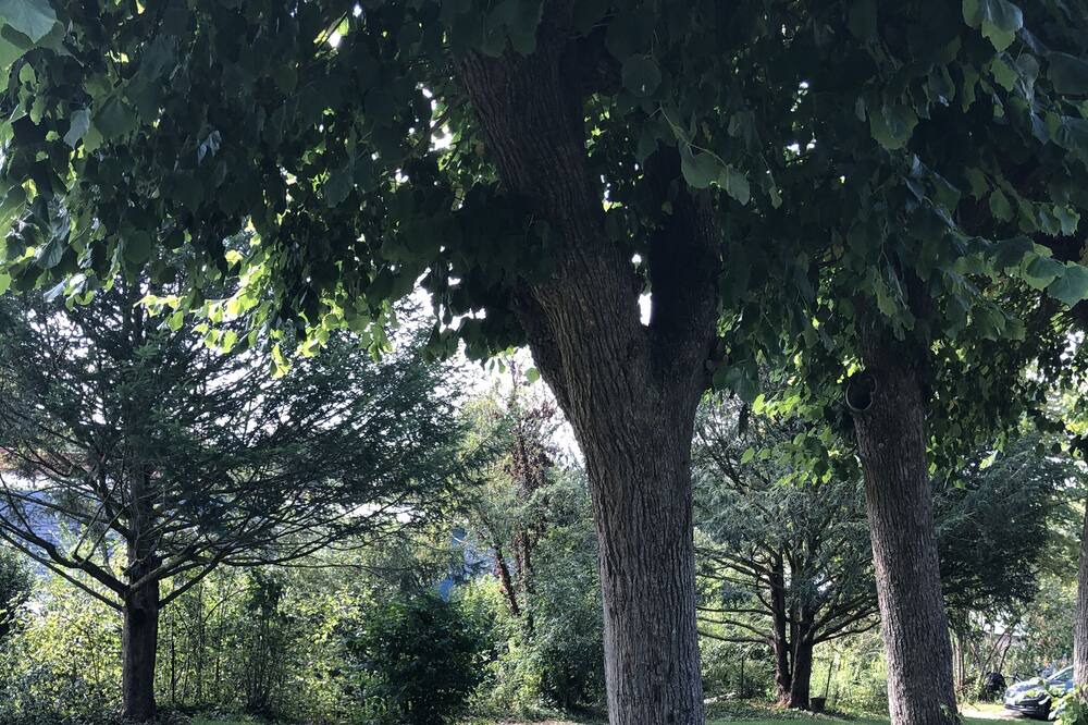 Photo of Outdoor in Ouville-la-Riviere