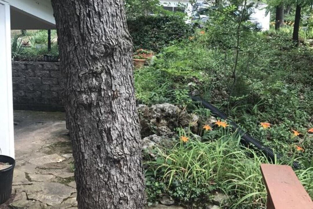 Photo of Outdoor in Shell Knob