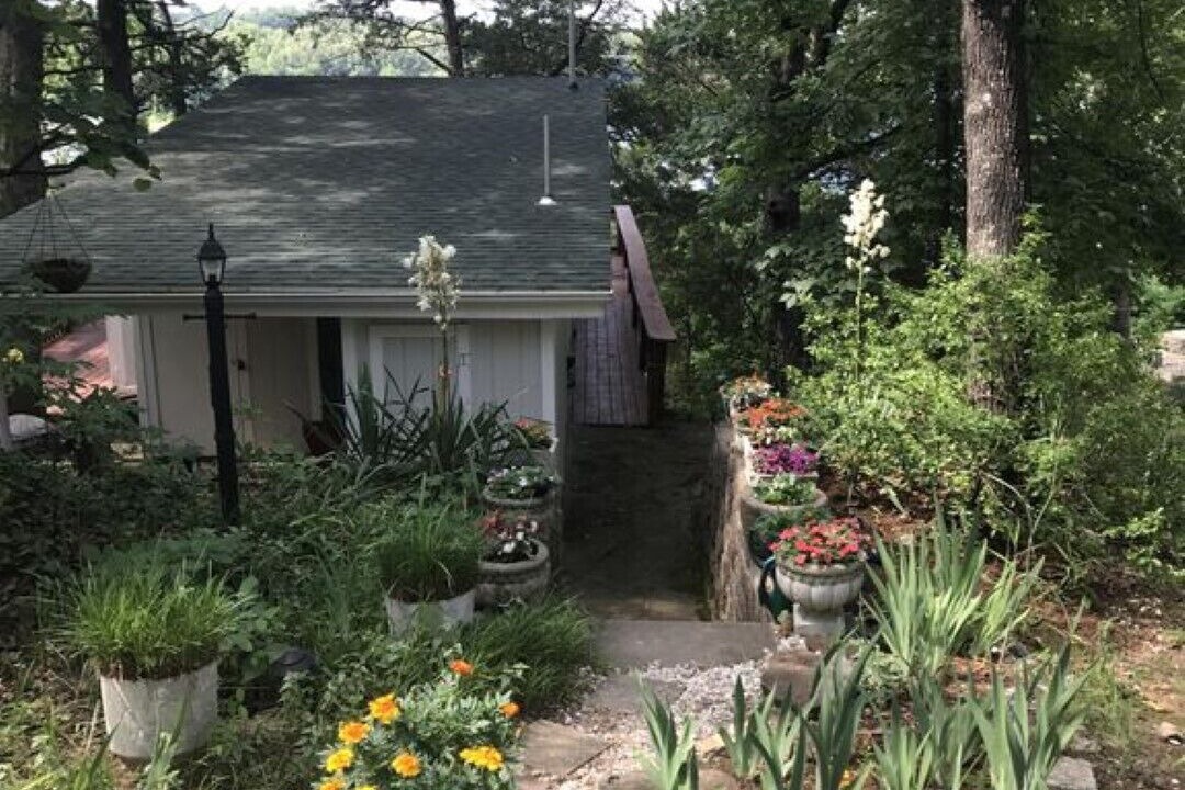 Photo of Outdoor in Shell Knob