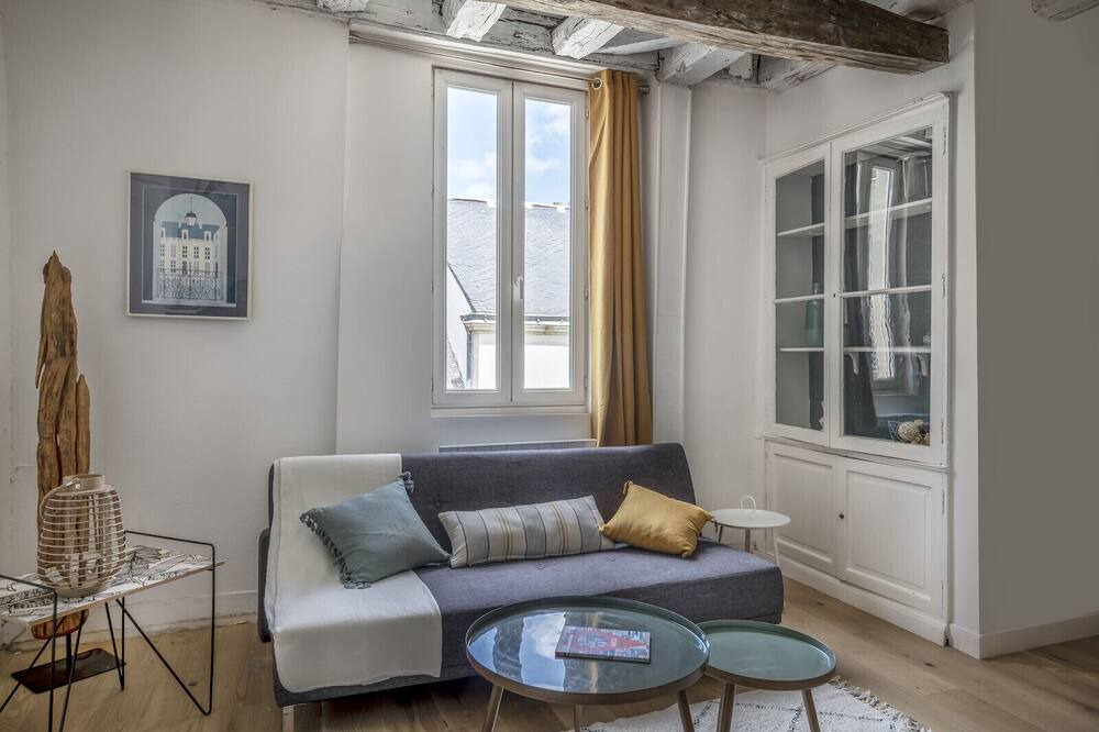 Photo of Livingroom in Graslin - Commerce