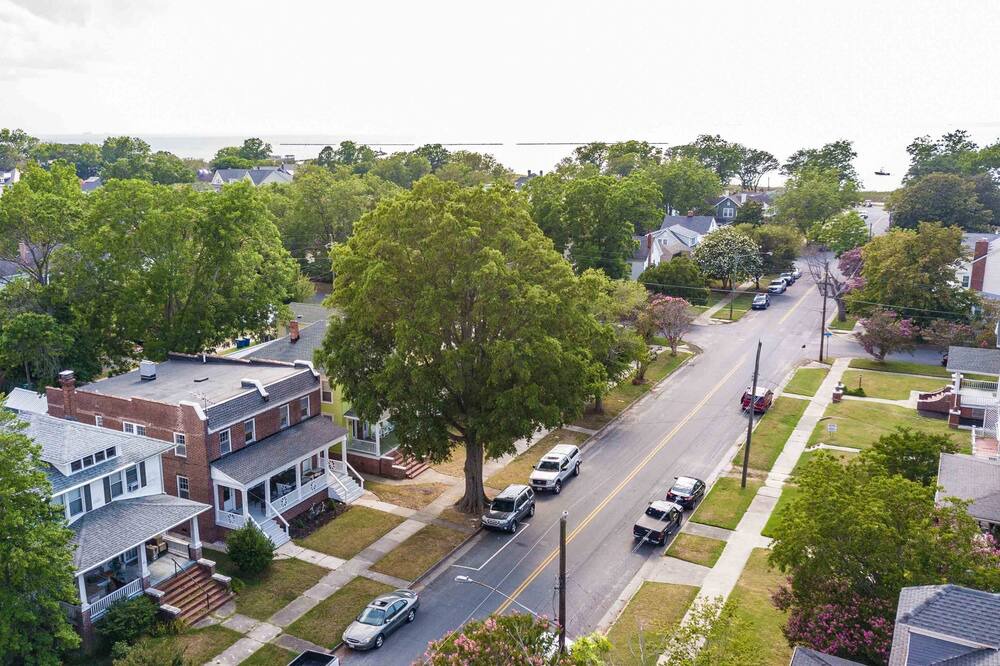 Photo of Others in Cape Charles