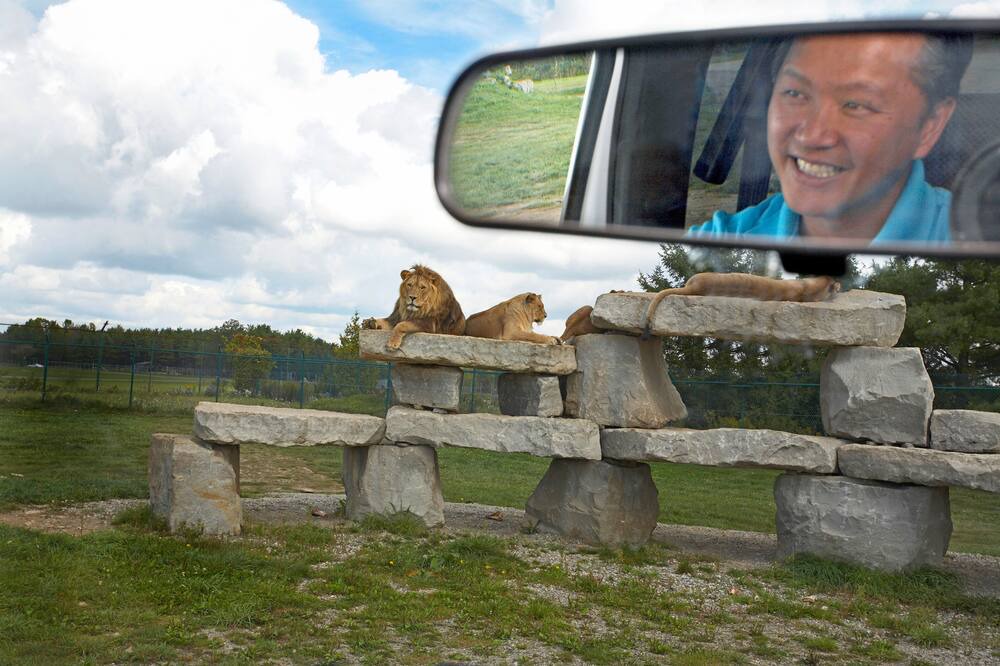 Photo of Outdoor in Hamilton