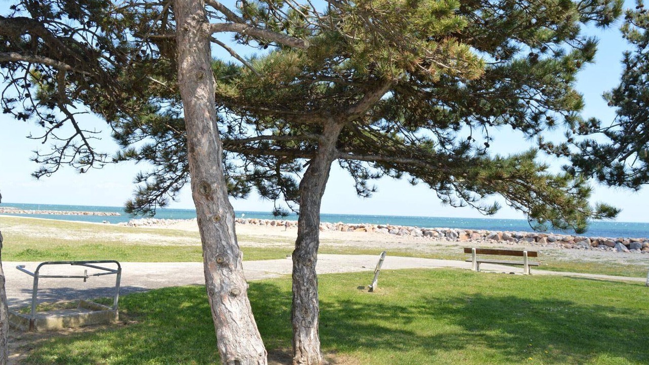 Photo of Outdoor in Saint-Cyprien Plage