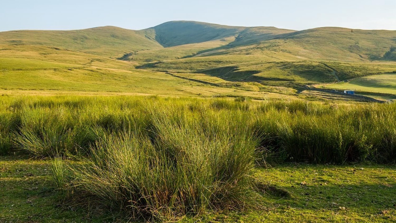 Photo of Outdoor in Kirkby Stephen