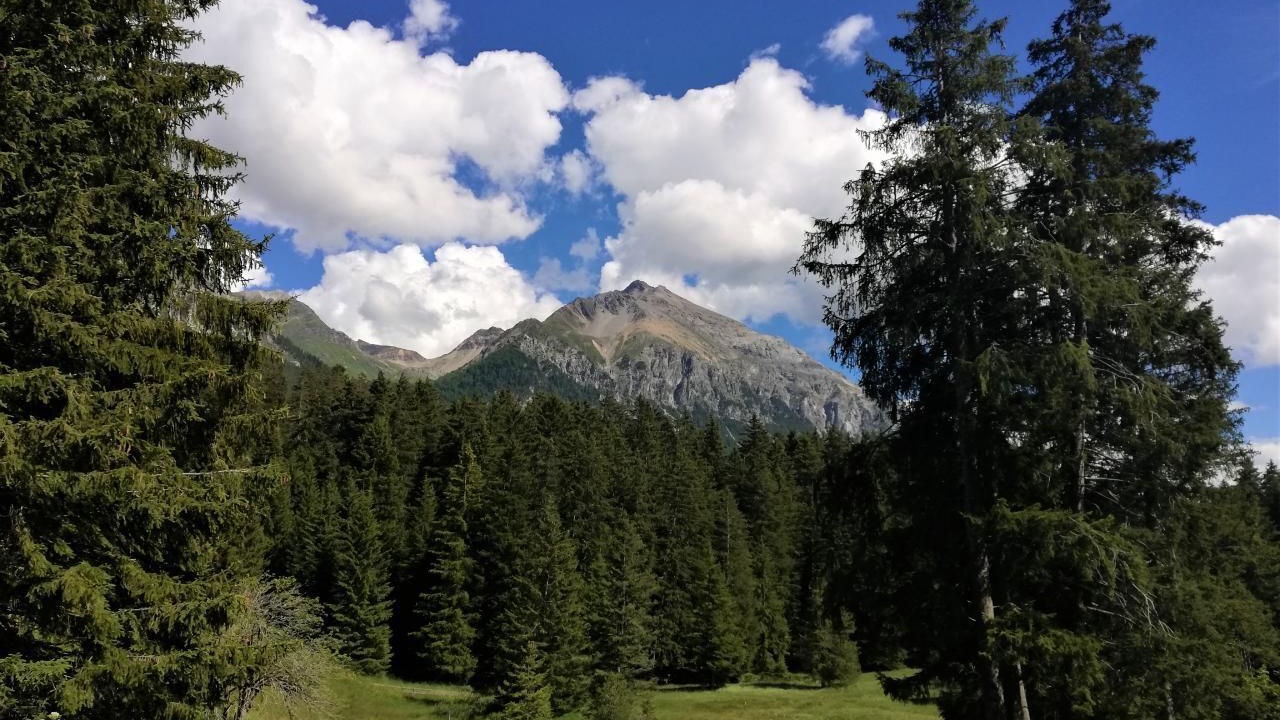 Photo of Others in Lenzerheide