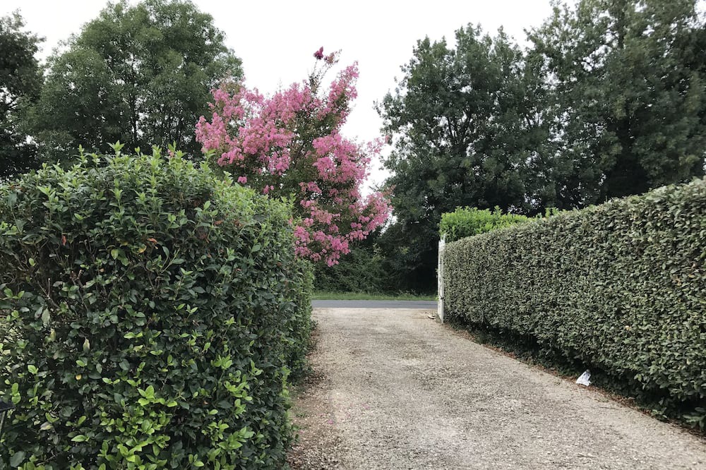 Photo of Outdoor in Saint-Pey-de-Castets