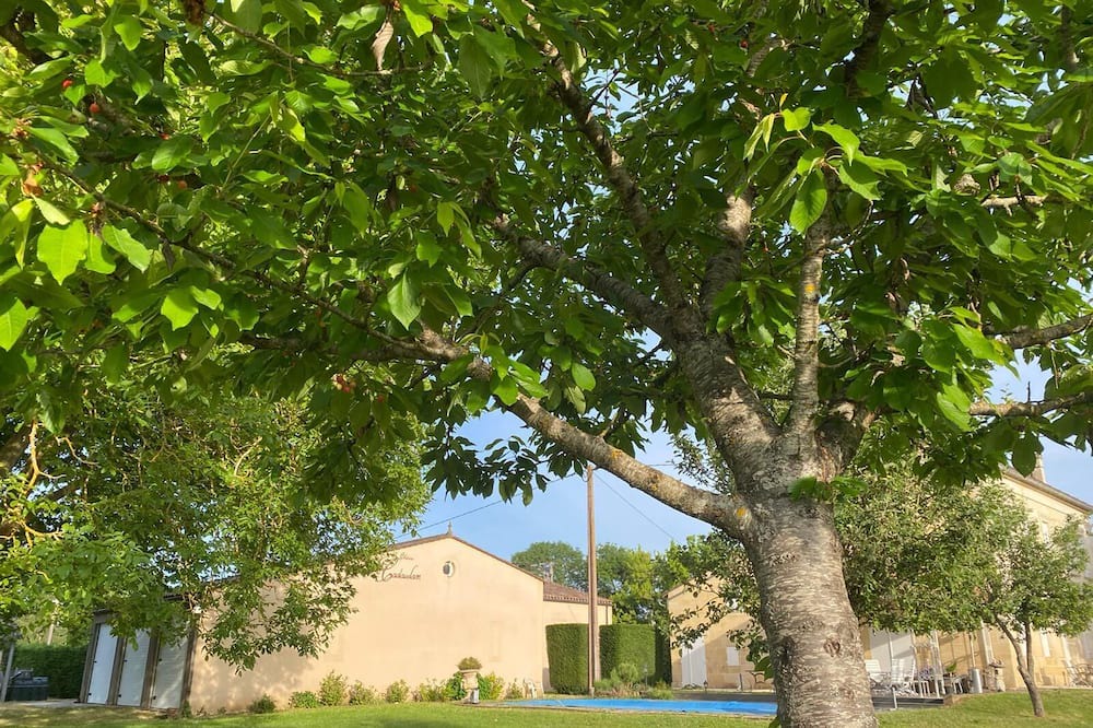Photo of Outdoor in Saint-Pey-de-Castets