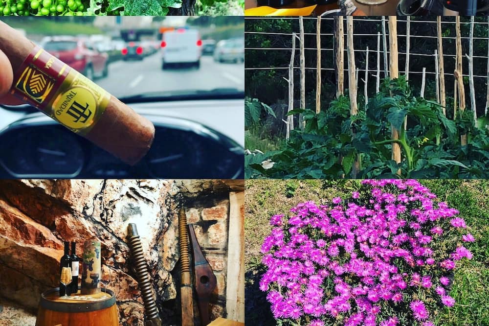 Photo of Others in Saint-Pey-de-Castets