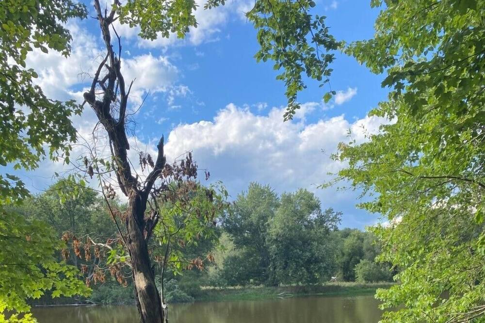 Photo of Others in Walden