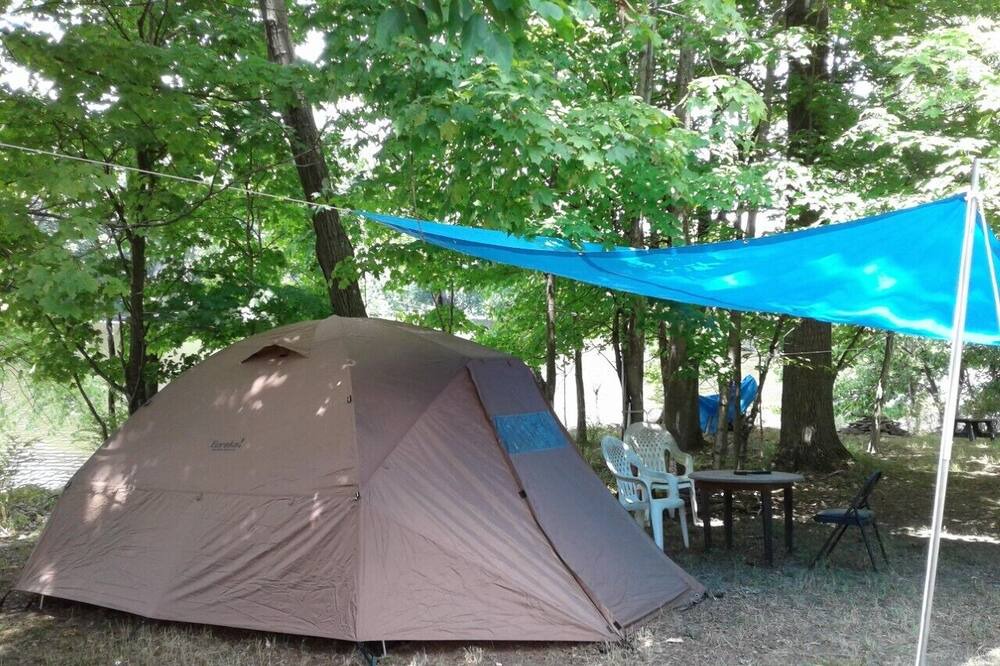 Photo of Others in Walden