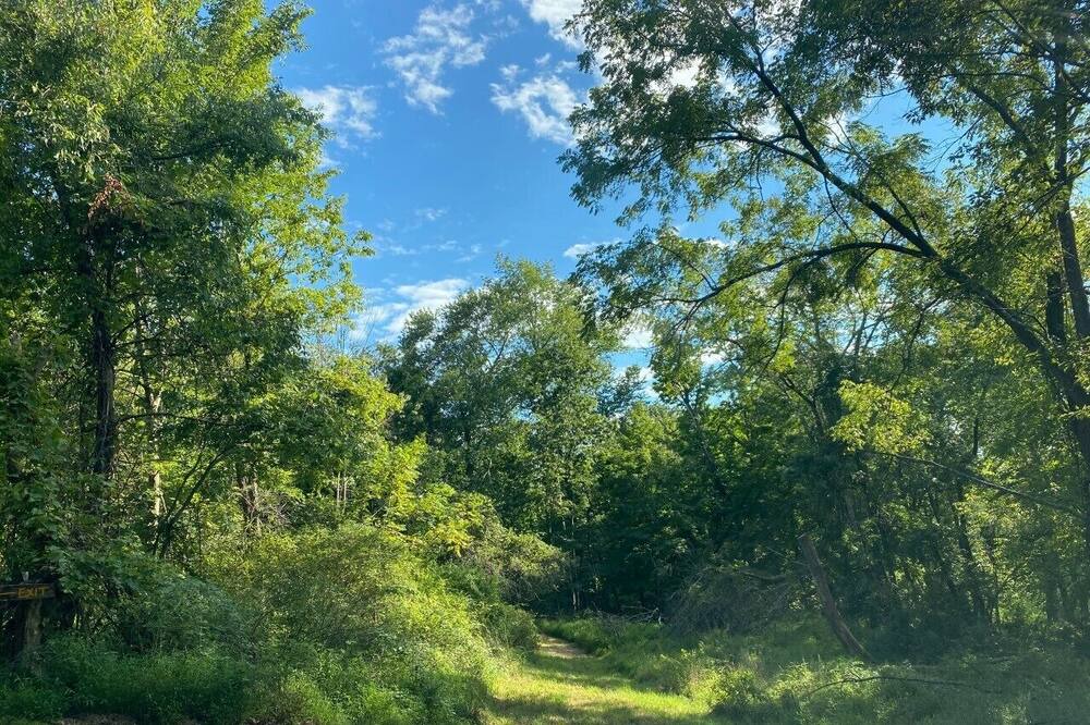 Photo of Outdoor in Walden