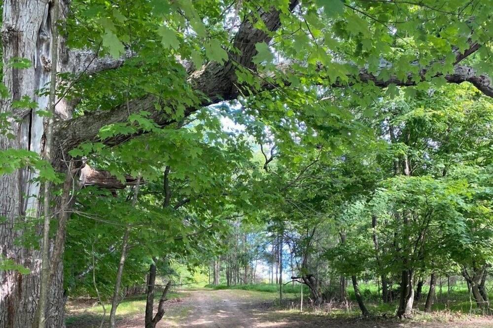 Photo of Outdoor in Walden